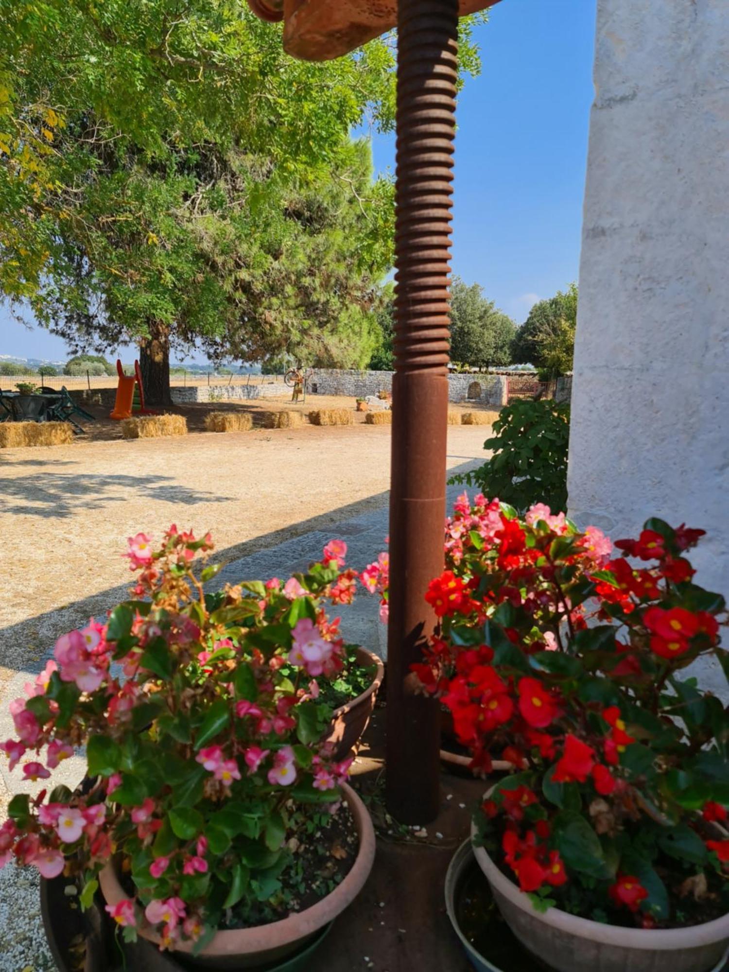 Masseria Gianca Cisternino Exterior photo