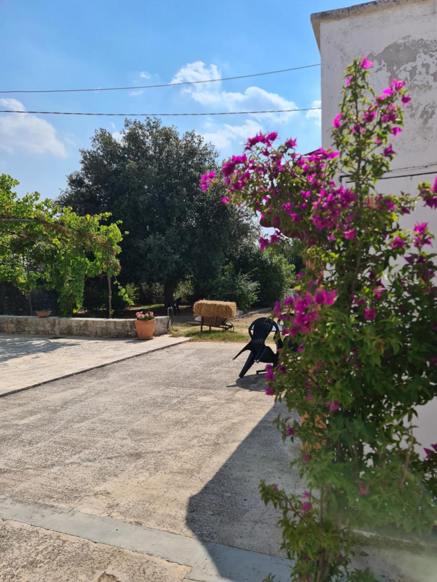 Masseria Gianca Cisternino Exterior photo