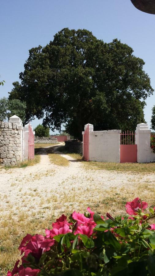 Masseria Gianca Cisternino Exterior photo